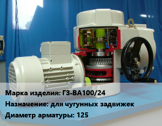 Электропривод ГЗ-ВА100/24 для чугунных задвижек 125, шт цена от 89882 сом / шт, где купить, условия доставки в Оше и Ошской области